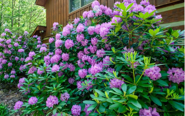 The Hartland - Hot Tub, Jacuzzi, Fireplace