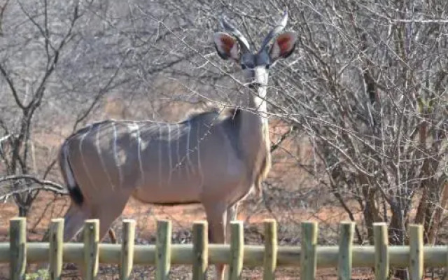 Thuhlo Lodge