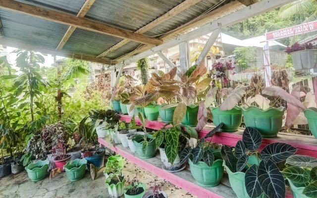 OYO Homes 91148 Homesstay Desa Wisata Bahoi Near Ekowisata Mangrove Desa Bahoi