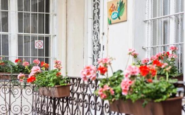 Activity Hostel