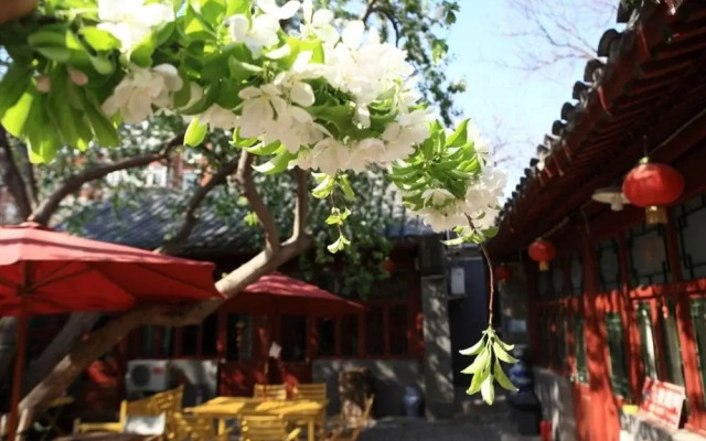 Flowering House Hostel
