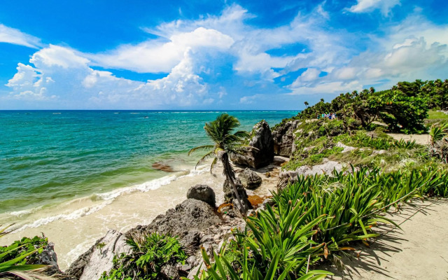 Miraluna B223 at Luum Zama