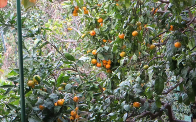 Holiday Home Artina 2