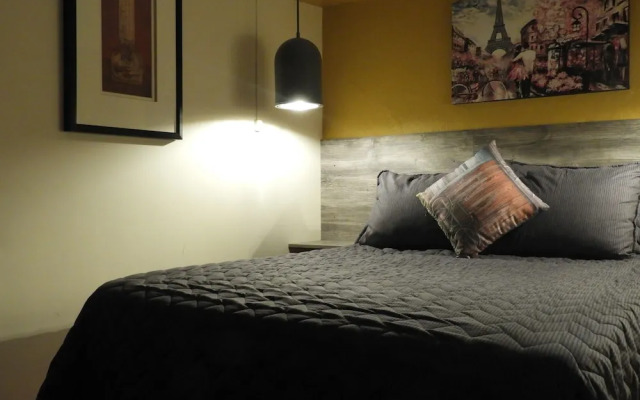 Casa Estudio Frida y Diego Galarza 28