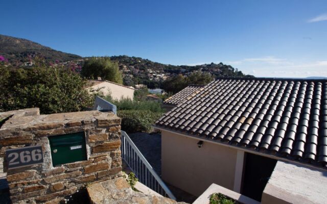 House Gazanias Bormes-les-Mimosas