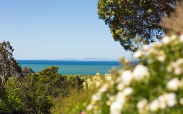 Clayridge House and cottage – Outside – Ruby Bay
