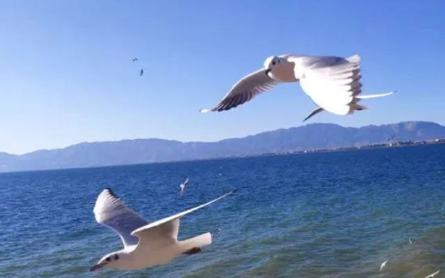 Fuxian Lake Sea Chao Inn (Gushan Scenic Area)