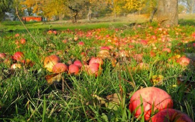 Romantik Hotel Rittergut Bömitz
