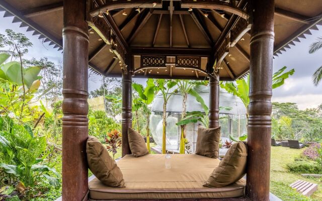 Bubble Hotel Bali Ubud - Glamping