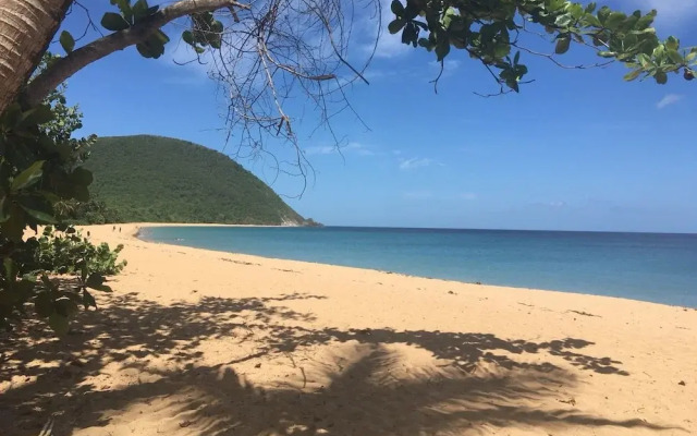 Au Jardin Des Colibris Ecolodge&Spa