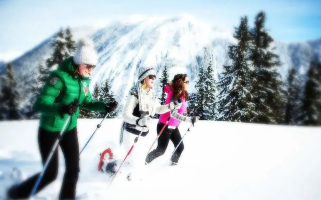 Hôtel Les Roches Fleuries