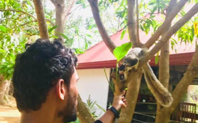 Bangalawa Guest 01