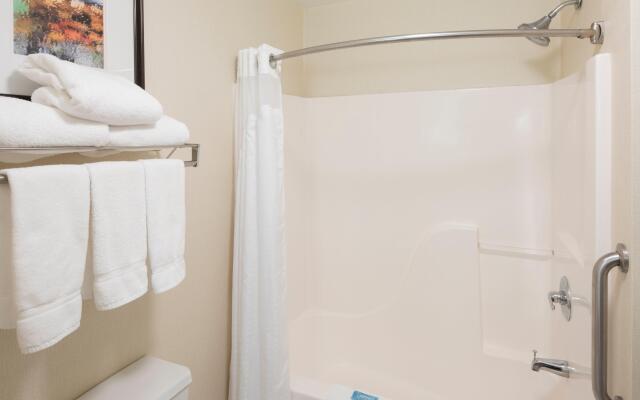 Holiday Inn Express & Suites East Greenbush (Albany-Skyline) by IHG