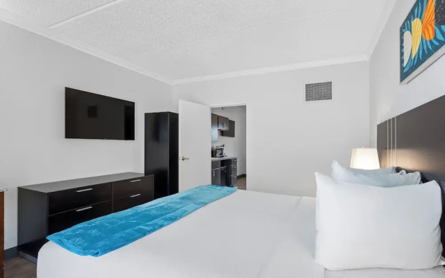 OASIS BAY SUITES, Tampa, Busch Gardens, USF