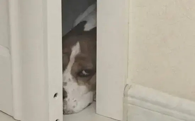 Yanyan Boutique Apartment