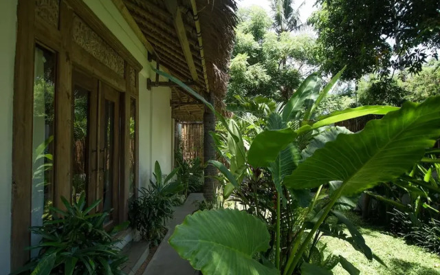 The Mandana Gili Air