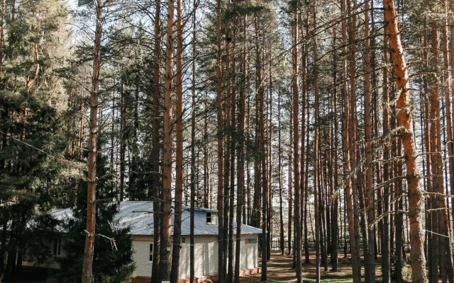 Severnaya zvezda