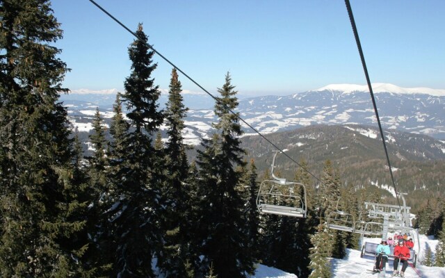 Cozy Chalet near Ski Area in Klippitztörl