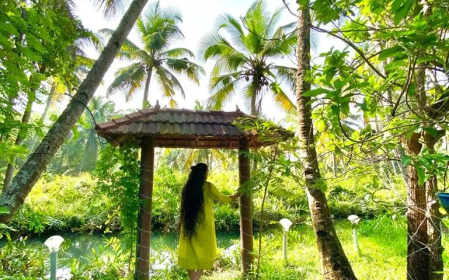 Munroe Paradise