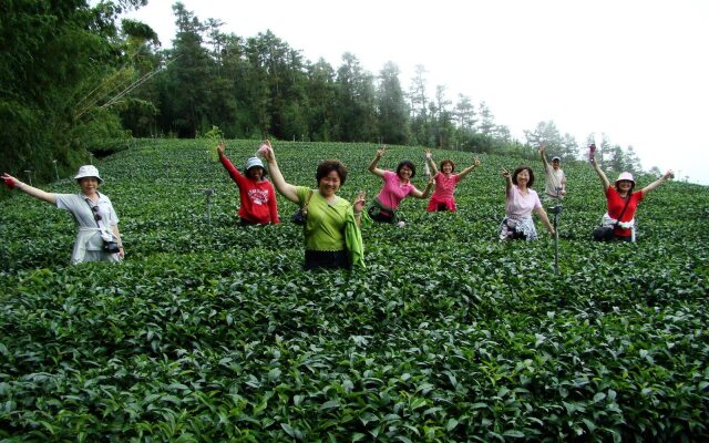 Alishan B&B Yunmingi Aliscenery
