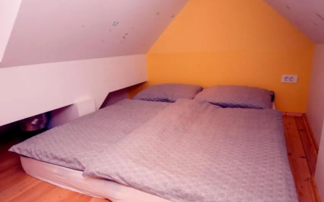 Apartmaji Lajf