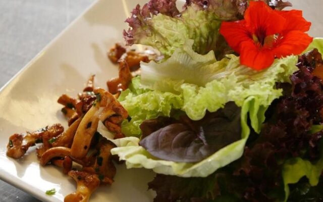 Hotel & Brauerei-Gasthof Neuwirt