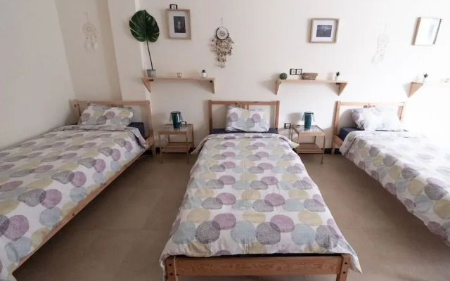 Star Surf Camps Fuerteventura