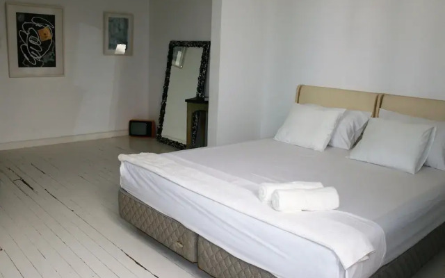 Neoclassical ART-House Bhive