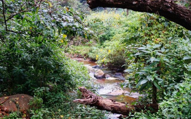 Secret Valley Jungle Resort