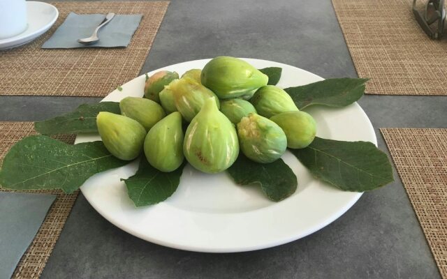 Azienda Agricola Spirdo