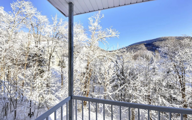 Condo 305 33 Chemin du Hameau by Les Chalets Alpins