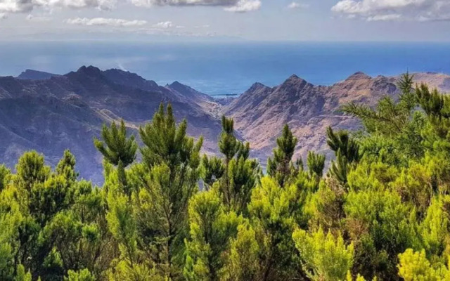 Oasis Penthouse in Santa Cruz by Edén Rentals