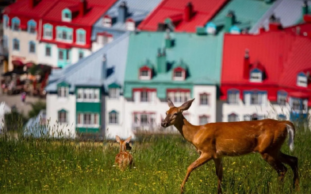 Stunning Condo - View on Lake Tremblant & Mountain