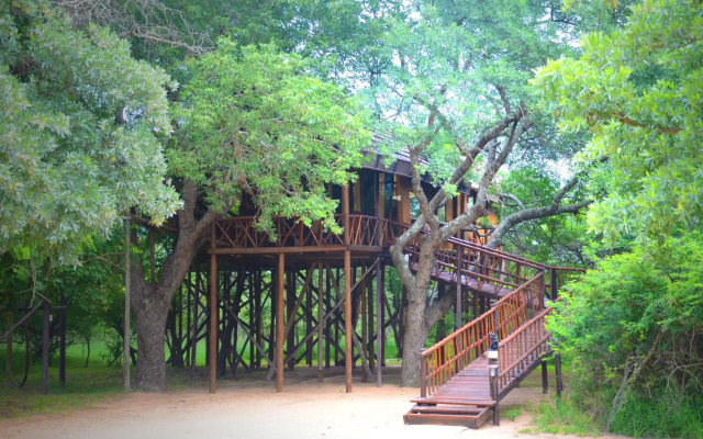 Pezulu Tree House Lodge