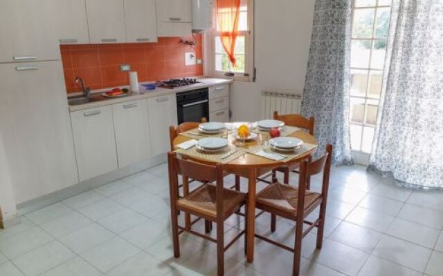 Green Marine. Palme. Ismare 17725