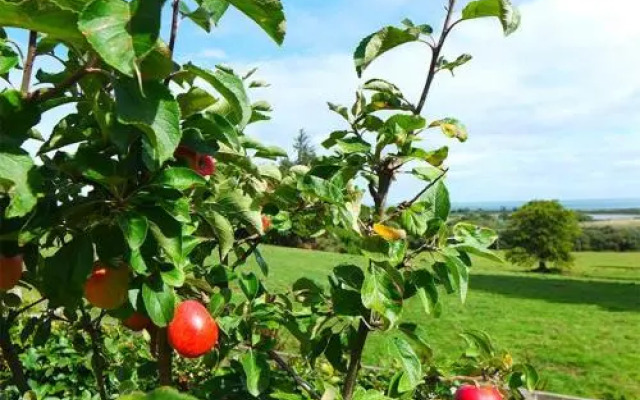 Tinakilly Country House Hotel & Restaurant
