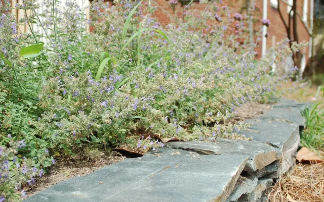 The Kings Daughters Inn