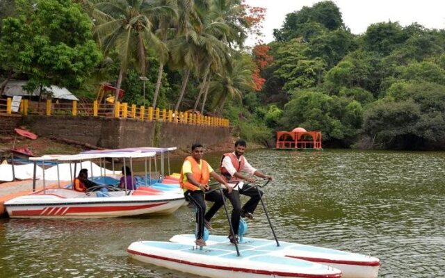 Mayem Lakeview