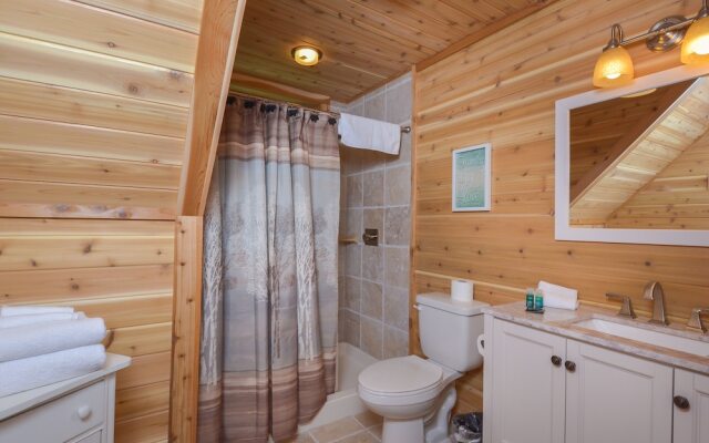 Big Log Lodge 4 Bedroom House