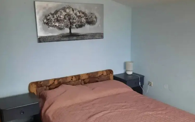 Visnja - 10 Meters to the Sandy Beach - A2 Dvosobni