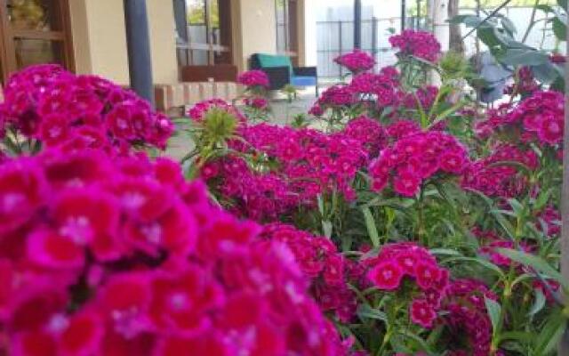 U Norika i Susanny Guest House