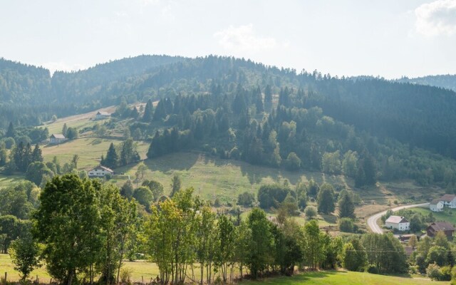 Beautiful, modern chalet near to La Bresse.