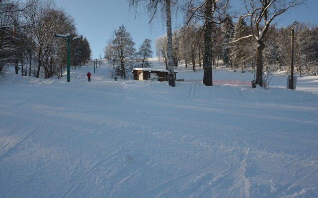 Modern Mansion in Bene ov u Semil With Pool