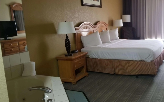 Holiday Inn Express & Suites Chicago Matteson by IHG