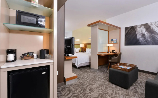 SpringHill Suites by Marriott Irvine
