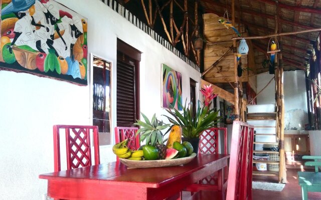 Hostel La Ballena Backpacker
