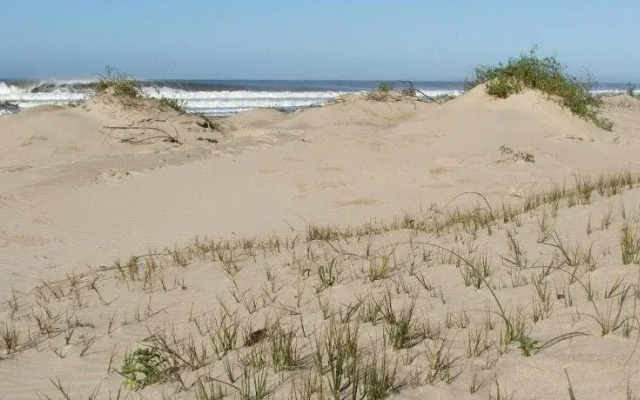La Serena Suites Apart