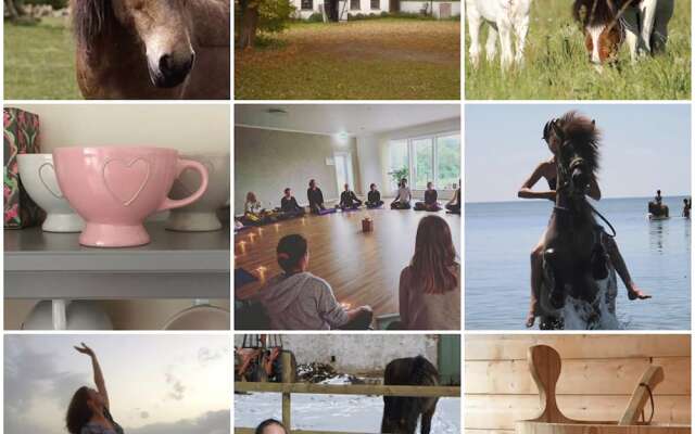 Olands Yogastudio Kollberggarden