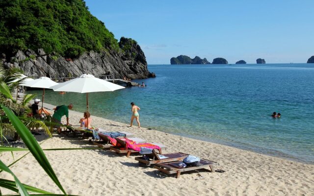 Monkey Island Resort
