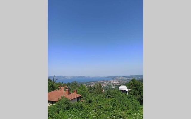 Full Müstaki̇l Göl Manzarali Havuzlu Vi̇lla- Btk03